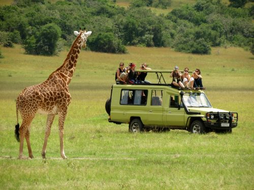 Uganda Adventure Safari