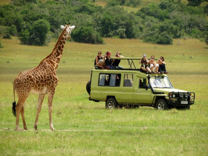 Uganda Adventure Safari