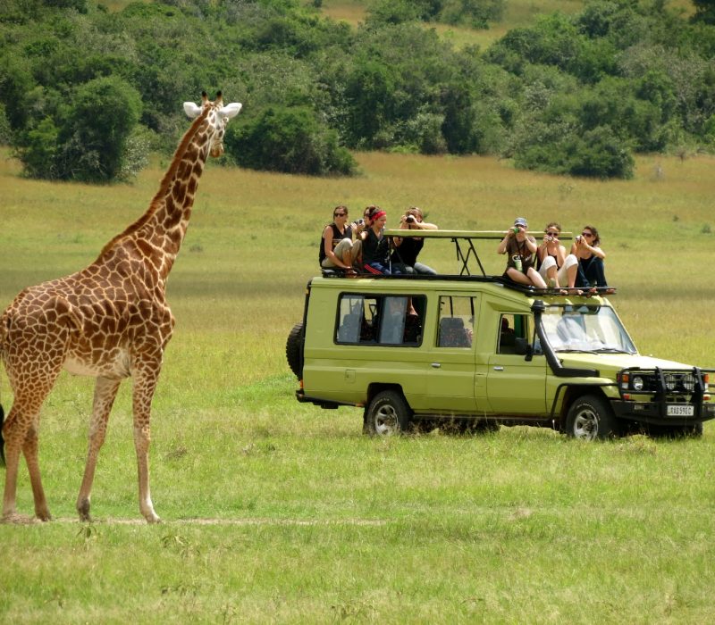 Uganda Adventure Safari