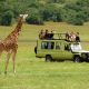 Uganda Adventure Safari