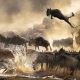 Best time to visit Masai Mara