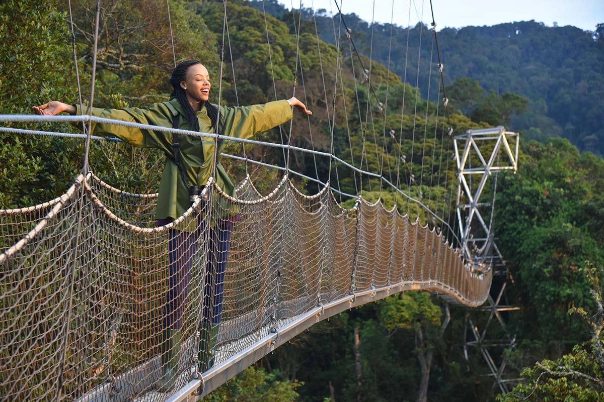 Canopy walk on wildlife safaris in Rwanda