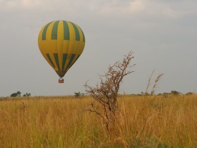 Hot Air Balloon Safari