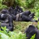 Most accessible sector in Bwindi